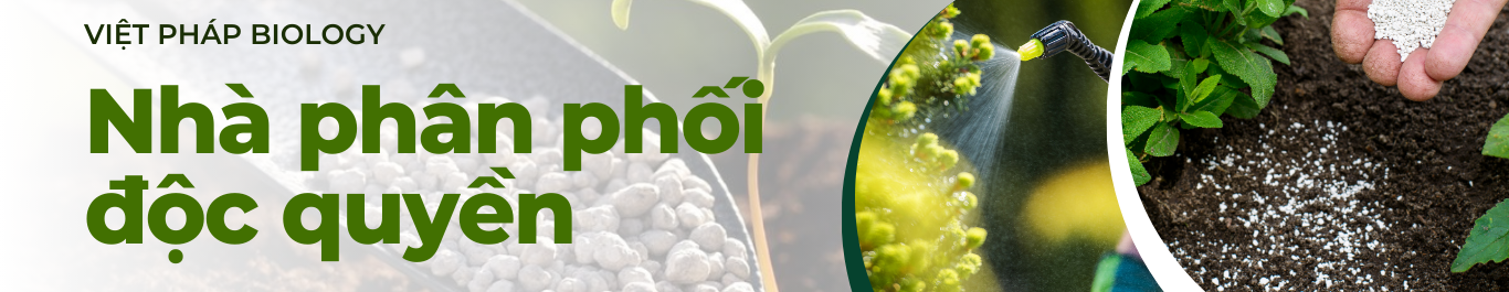 CÔNG TY TNHH XUẤT NHẬP KHẨU VIỆT PHÁP BIOLOGY