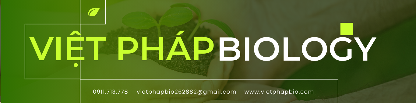 CÔNG TY TNHH XUẤT NHẬP KHẨU VIỆT PHÁP BIOLOGY