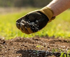 Phân NPK và Phân Hữu Cơ: Nên Dùng Loại Nào Để Cây Trồng Phát Triển Bền Vững?