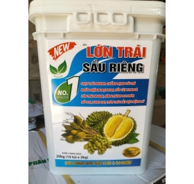 Lớn Trái Sầu Riêng No.1 Quality