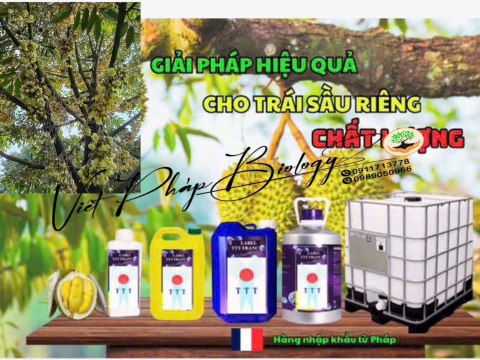 Sản phẩm Việt Pháp