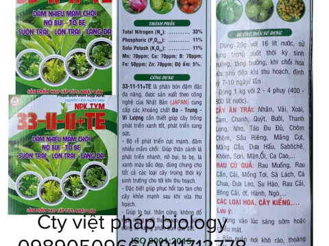 Hoạt động của Việt Pháp