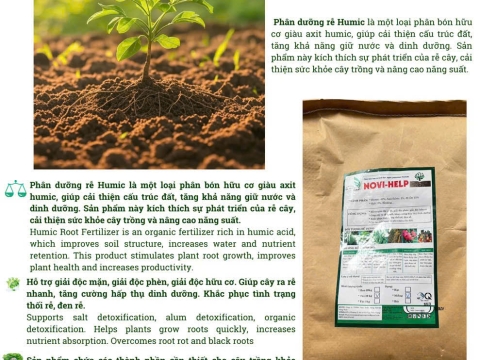 Hoạt động của Việt Pháp