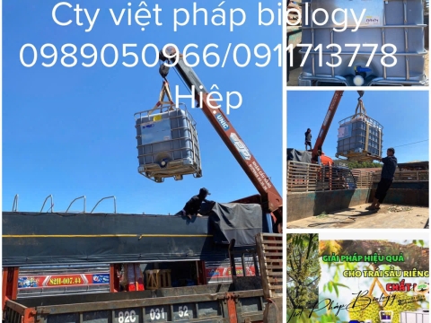 Hoạt động của Việt Pháp