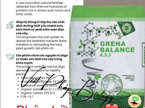 Hoạt động của Việt Pháp - 20/12 