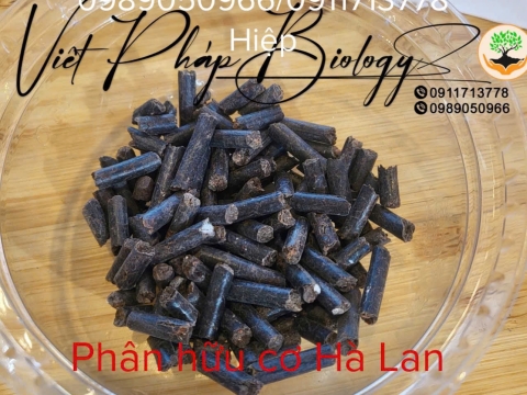 Hoạt động của Việt Pháp - 20/12 