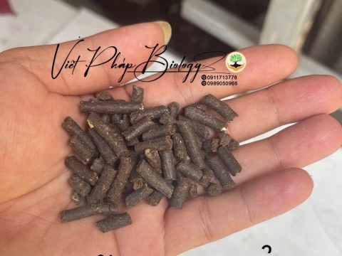 Hoạt động của Việt Pháp - 20/12 