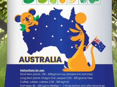 Hoạt động của Việt Pháp - 20/12 