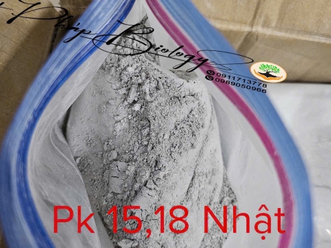 Hoạt động của Việt Pháp - 20/12 