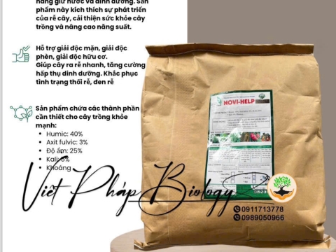 Hoạt động của Việt Pháp - 20/12 