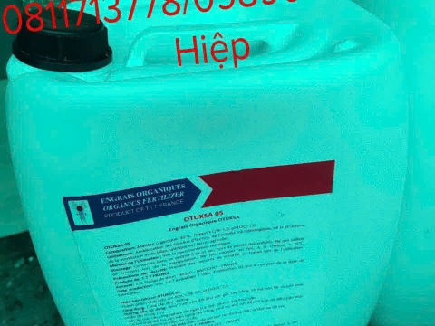 Hoạt động của Việt Pháp - 20/12 