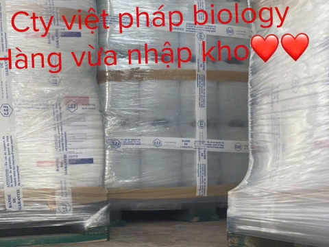 Hoạt động của Việt Pháp - 20/12 