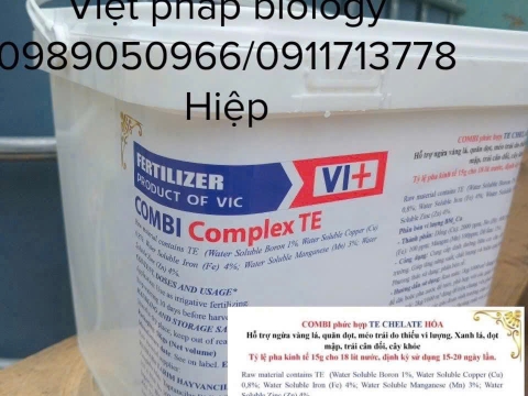 Hoạt động của Việt Pháp - 20/12 