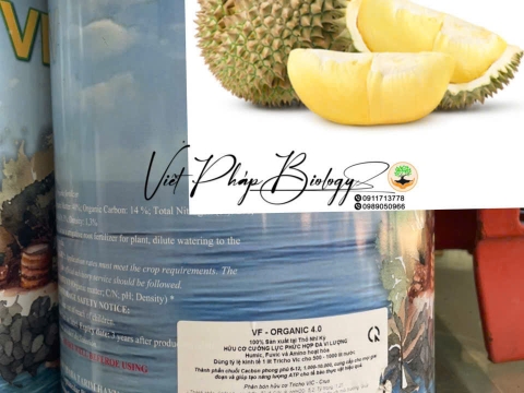 Hoạt động của Việt Pháp - 20/12 