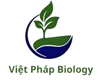 CÔNG TY TNHH XUẤT NHẬP KHẨU VIỆT PHÁP BIOLOGY