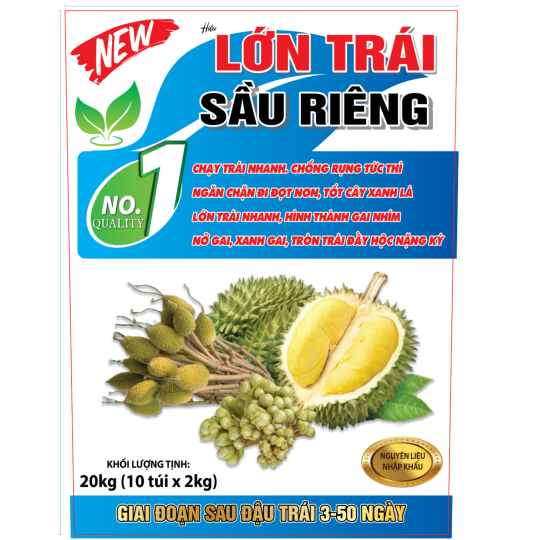 XO LỚN TRÁI SẦU RIÊNG 